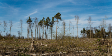 Polícia Ambiental multa Proprietário de Fazenda em R$ 240.000,00 por desmatamento em Guarapuava.