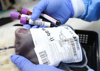 Ministério da Saúde lança campanha nacional para incentivar doação regular de sangue