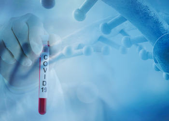 Óbitos por Covid-19 ultrapassam 28 mil no Paraná