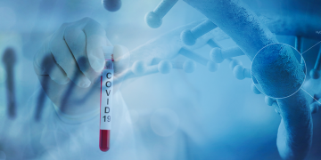 Óbitos por Covid-19 ultrapassam 28 mil no Paraná