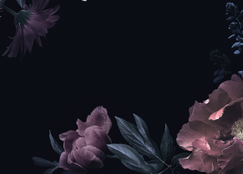 Óbitos registrados nesta terça-feira (15) em Guarapuava pela Central de Triagem