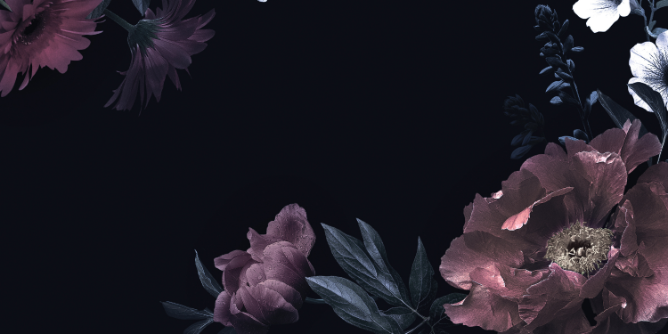 Óbitos registrados nesta terça-feira (15) em Guarapuava pela Central de Triagem