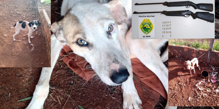 Homem é preso por maus tratos à animais e posse ilegal de armas em Candói