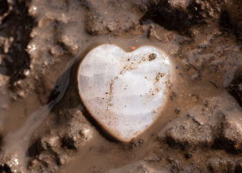 Apaixonando-se pela Mulher Frankstein
