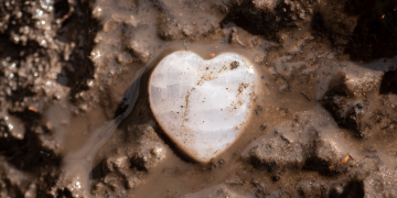 Apaixonando-se pela Mulher Frankstein