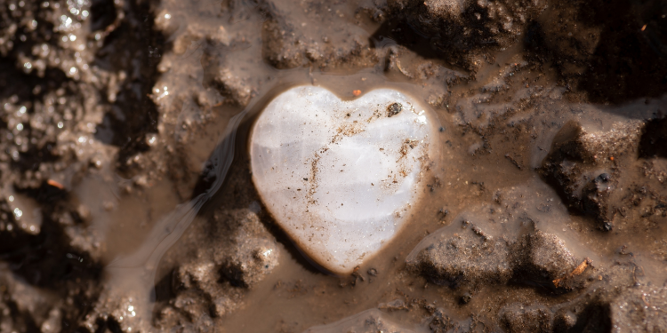 Apaixonando-se pela Mulher Frankstein