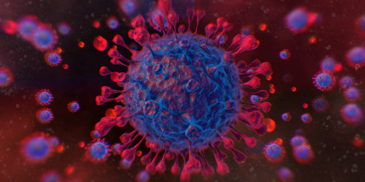 Óbitos pela Covid-19 ultrapassam 29 mil no Paraná