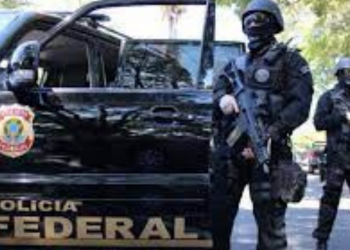 PF deflagra Operação BYAKUGAN combate disseminação de pornografia infantil pela internet