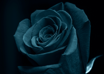 Óbitos registrados nesta sexta-feira (18) em Guarapuava pela Central de Triagem