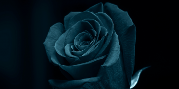 Óbitos registrados nesta sexta-feira (18) em Guarapuava pela Central de Triagem