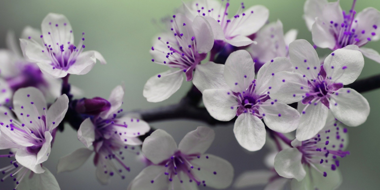 Óbitos registrados nesta segunda (14) em Guarapuava pela Central de Triagem