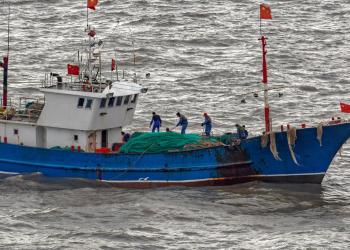 Pandemia dificulta o desmantelamento de redes de pesca chinesas no litoral da Índia