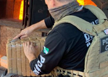PCPR incinera 2 toneladas de maconha em Santa Terezinha do Itaipu