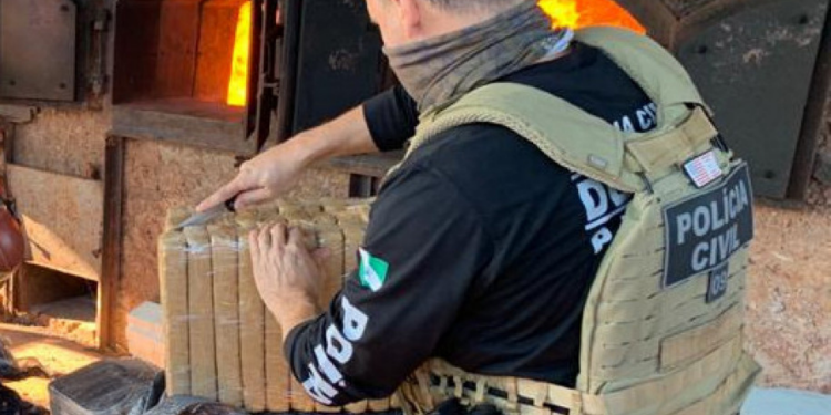 PCPR incinera 2 toneladas de maconha em Santa Terezinha do Itaipu
