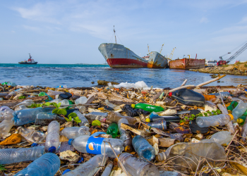 CMA debaterá poluição nos oceanos causada por plástico descartável