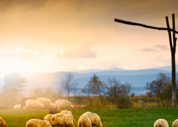 Apossando da Minha Restituição