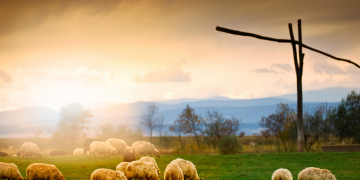 Apossando da Minha Restituição