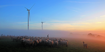 O Brasil precisa de pastores de caráter limpo.