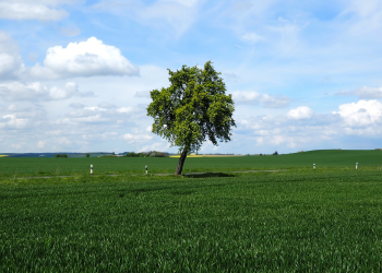 Sejam Santos – O que precisamos saber sobre Santidade
