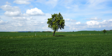 Sejam Santos – O que precisamos saber sobre Santidade