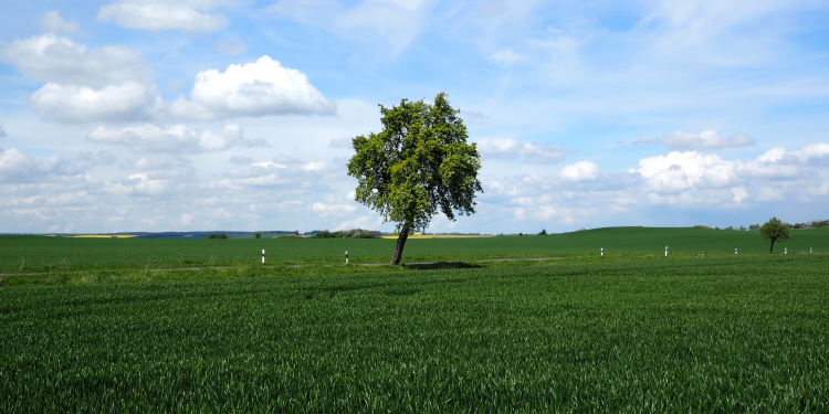 Sejam Santos – O que precisamos saber sobre Santidade