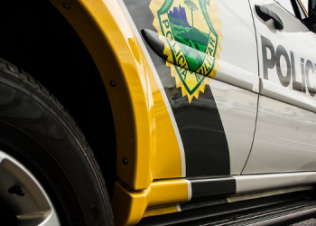 Homem suspeito de caça ilegal é detido por posse de armas em Pitanga, no final de semana.