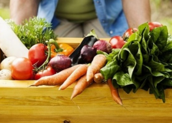 Comissão aprova projeto que inclui tecnologia em política da agricultura familiar