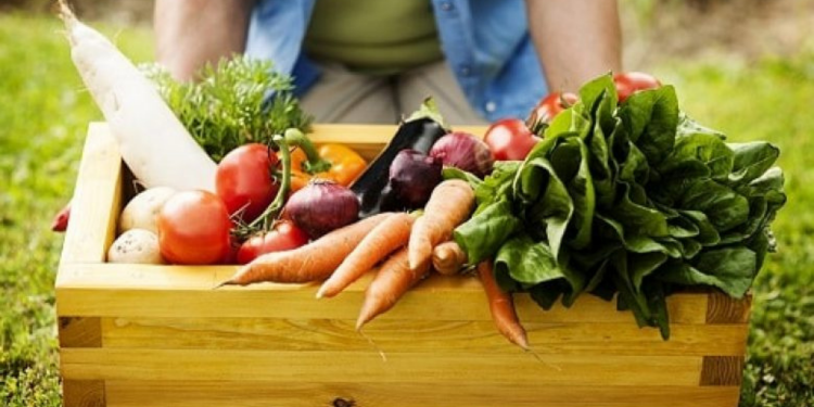 Comissão aprova projeto que inclui tecnologia em política da agricultura familiar