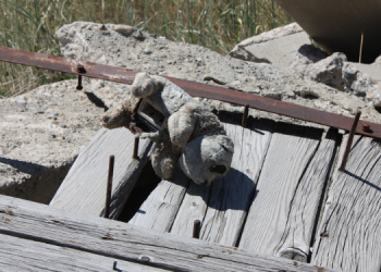 PCPR prende três pessoas e indicia outras três por abuso e exploração sexual de crianças na internet