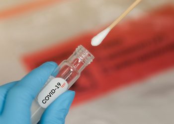 Paraná confirma mais 4.022 casos e 53 mortes por Covid neste sábado