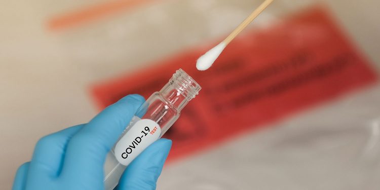 Paraná confirma mais 4.022 casos e 53 mortes por Covid neste sábado