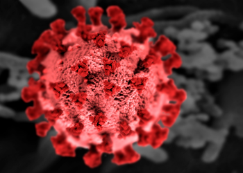 Boletim da Covid-19 confirma 5.692 novos casos e 57 óbitos