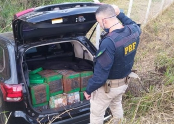 PRF apreende mais de meia tonelada de maconha no Paraná