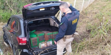 PRF apreende mais de meia tonelada de maconha no Paraná
