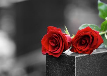 Óbitos registrados nesta quarta-feira (16) em Guarapuava pela Central de Triagem