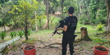 PF deflagra Operação Prenúncio Criminal em Altamira/PA