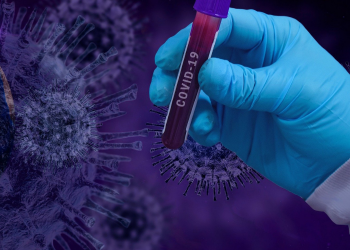 Estado do Paraná confirma mais 2.329 casos e 49 óbitos pela Covid-19