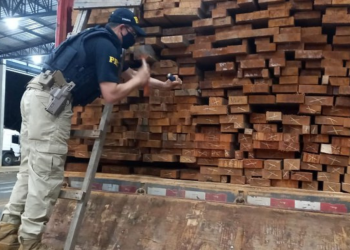 PRF em Rondônia faz sua maior apreensão de madeira