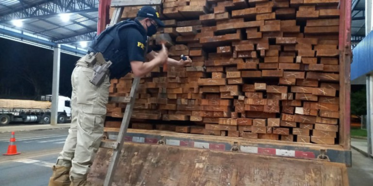 PRF em Rondônia faz sua maior apreensão de madeira