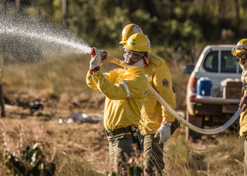 Técnica inovadora para prevenção de incêndios chega pela 1ª vez ao Pantanal