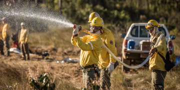 Técnica inovadora para prevenção de incêndios chega pela 1ª vez ao Pantanal