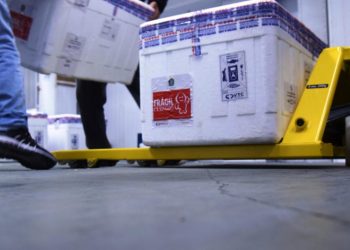 Primeiro lote de vacinas da Janssen chega ao Paraná nesta quinta-feira