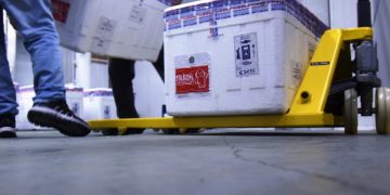 Primeiro lote de vacinas da Janssen chega ao Paraná nesta quinta-feira