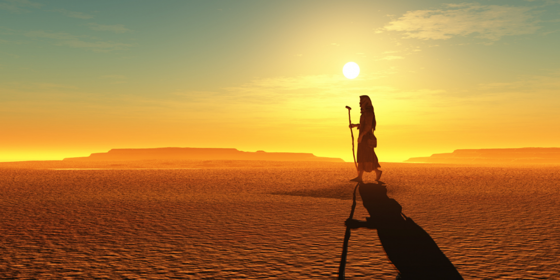 Características da Vida no Deserto