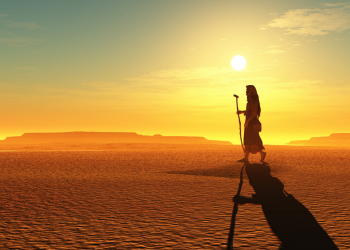 Características da Vida no Deserto