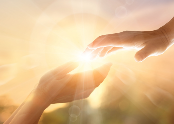 EXELENTE NOTÍCIA!!!!!! NÃO HOUVE ÓBITOS (23)