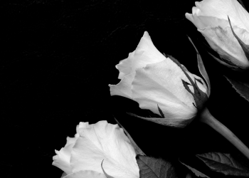 Óbitos registrados nesta feira-feira (30) em Guarapuava pela Central de Triagem