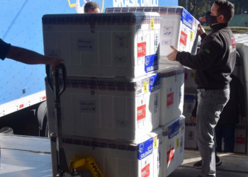 Paraná receberá 361.490 vacinas contra a Covid-19; parte chega nesta quarta-feira