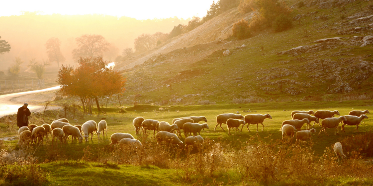 Salmo 1 — Comentário do Livro de Salmos