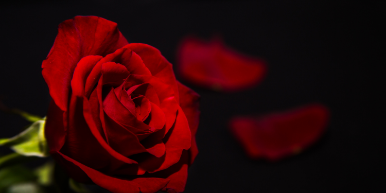 Óbitos registrados nesta quarta-feira (23) em Guarapuava pela Central de Triagem